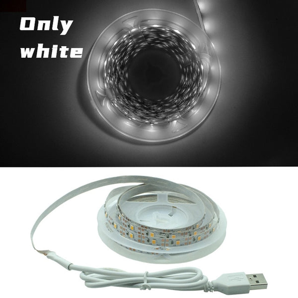 LED Strip