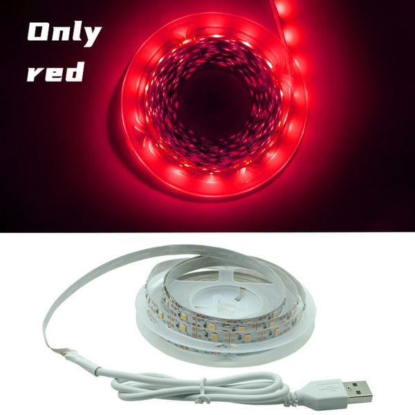 LED Strip