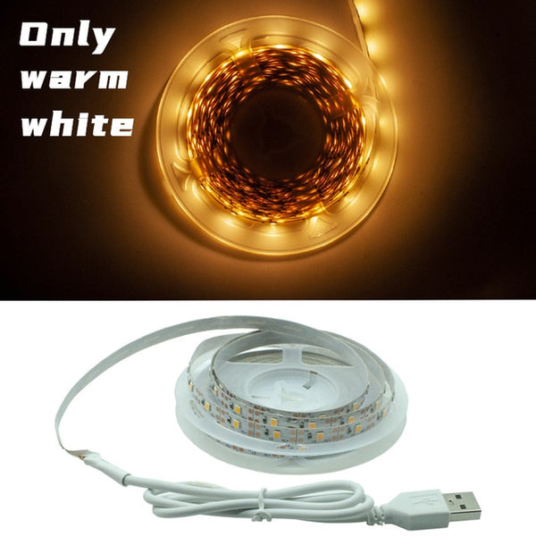 LED Strip